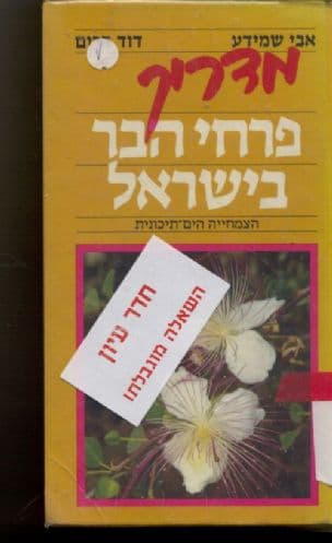 מדריך פרחי הבר בישראל : הצמחייה הים-תיכונית