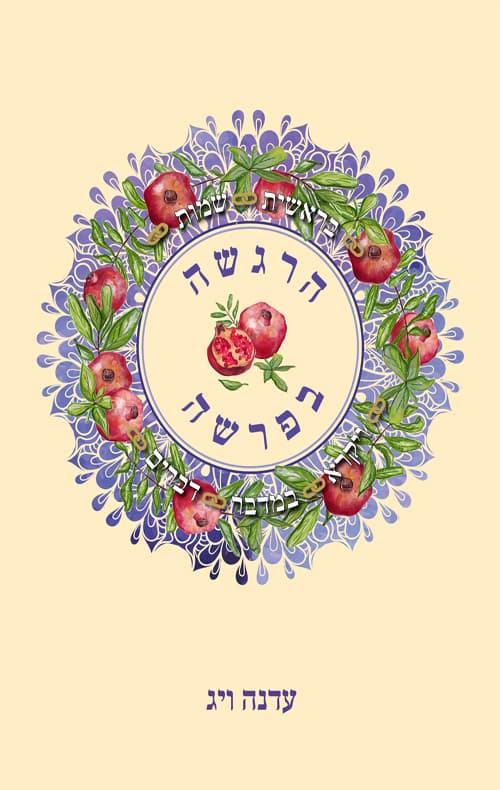 הרגשה בפרשה