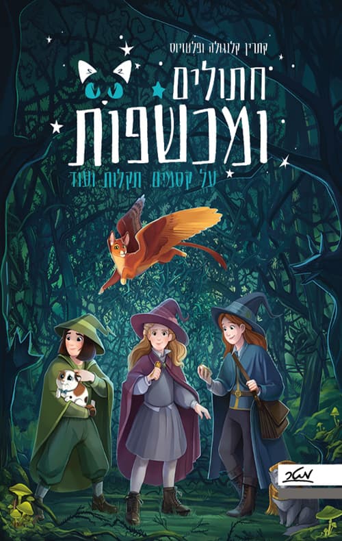 חתולים ומכשפות 1 : על קסמים, תקלות ועוד