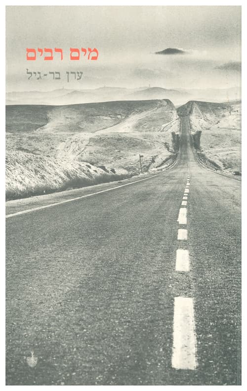 מים רבים