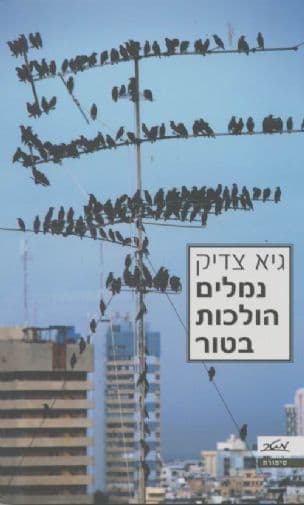 נמלים הולכות בטור