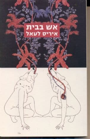 אש בבית