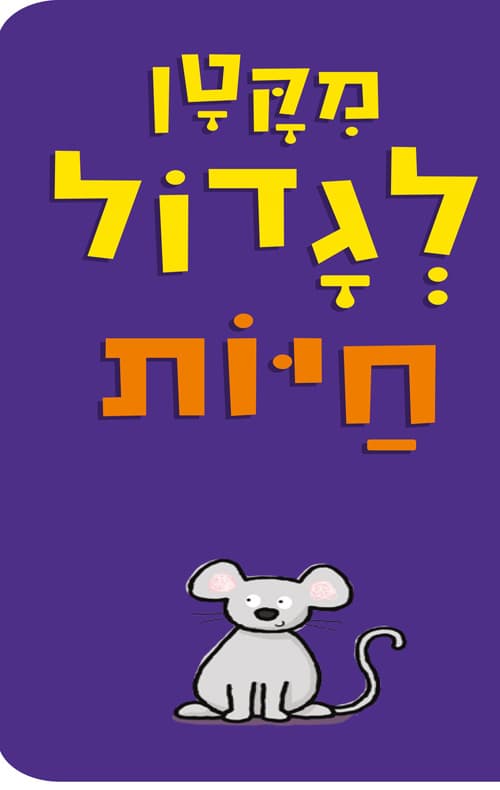 מקטן לגדול - חיות