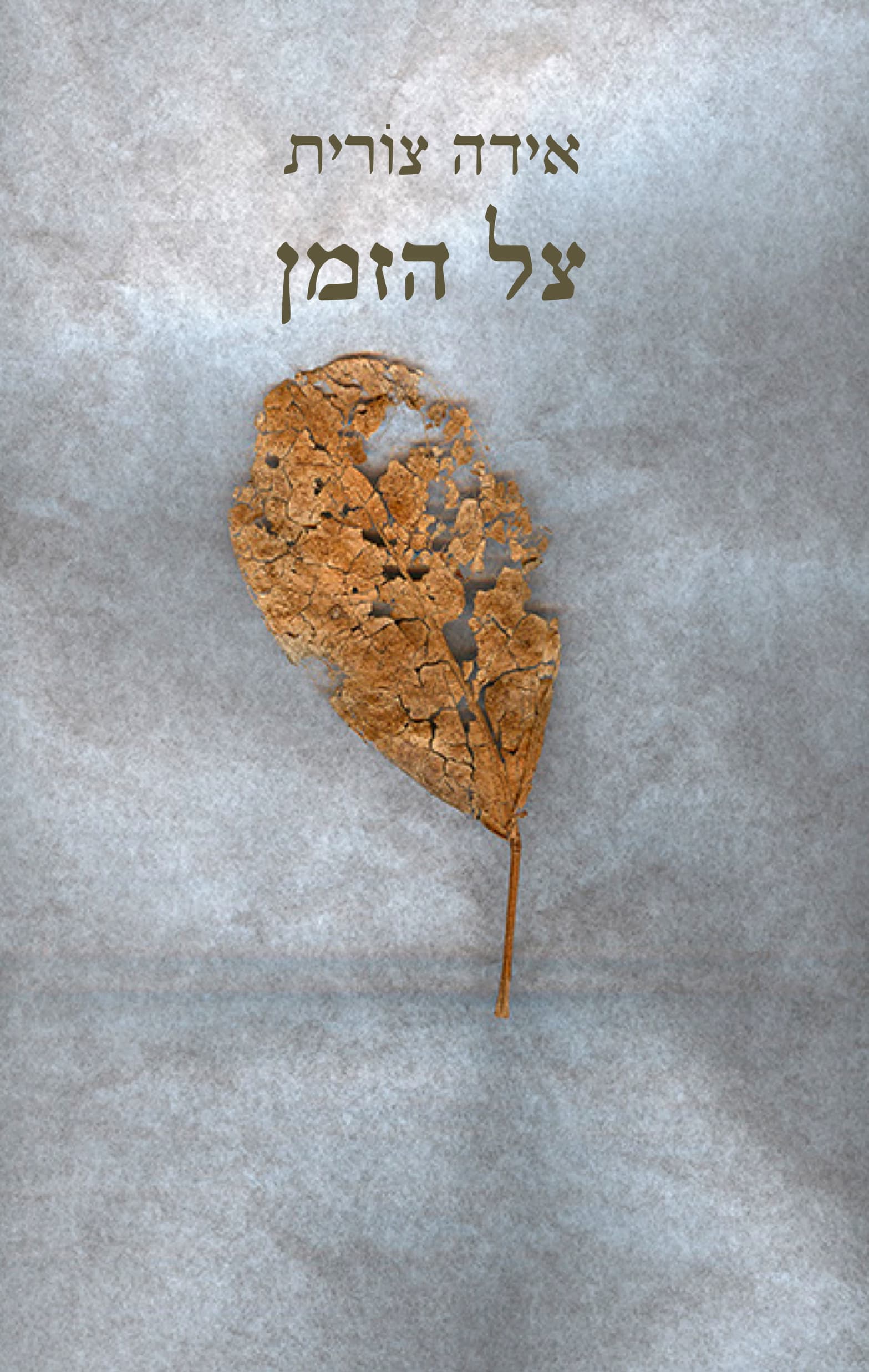 צל הזמן