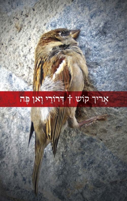 דרורי ואן פה
