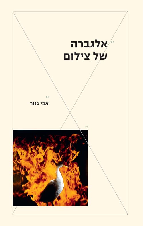אלגברה של צילום