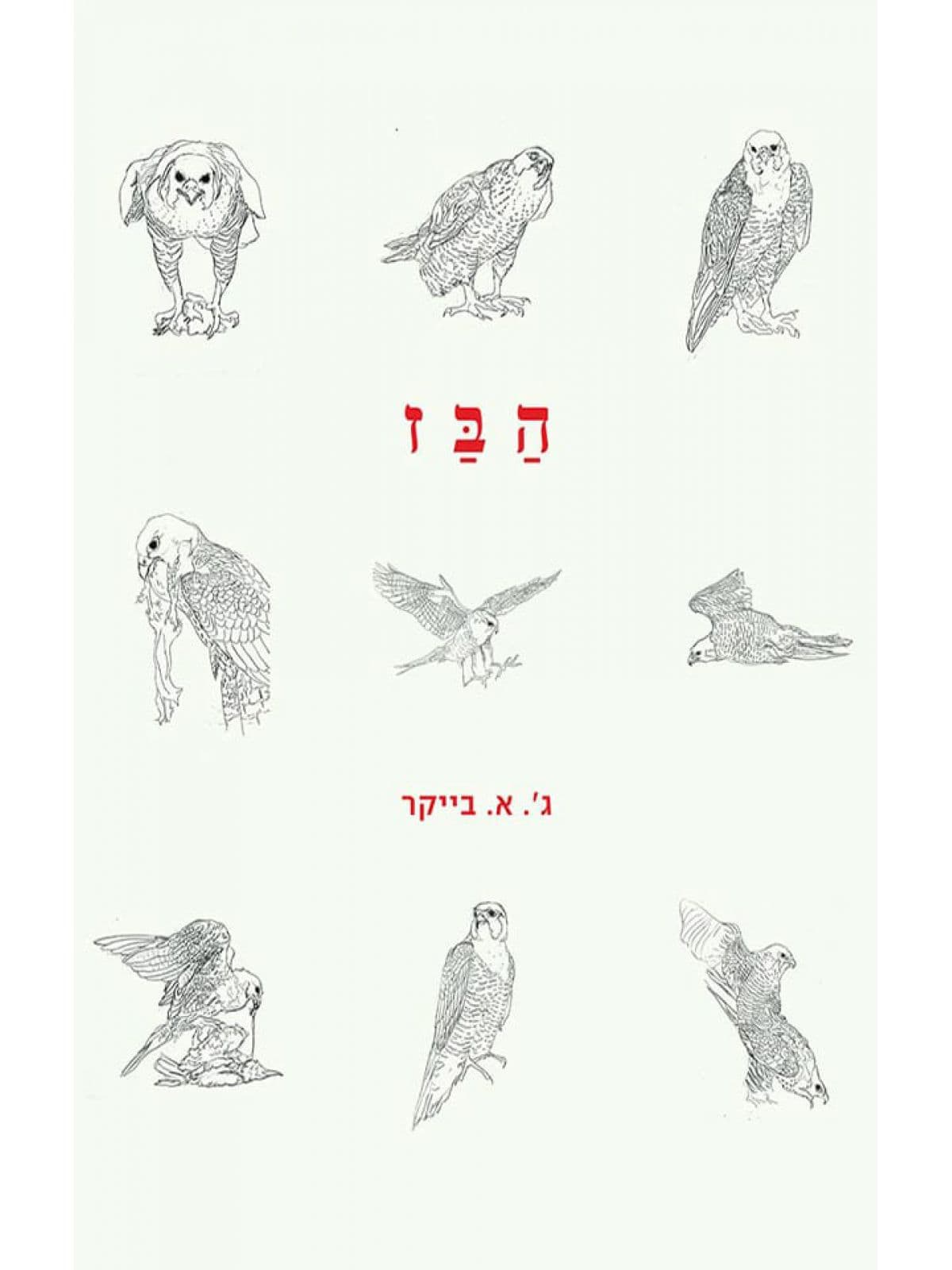 הבז