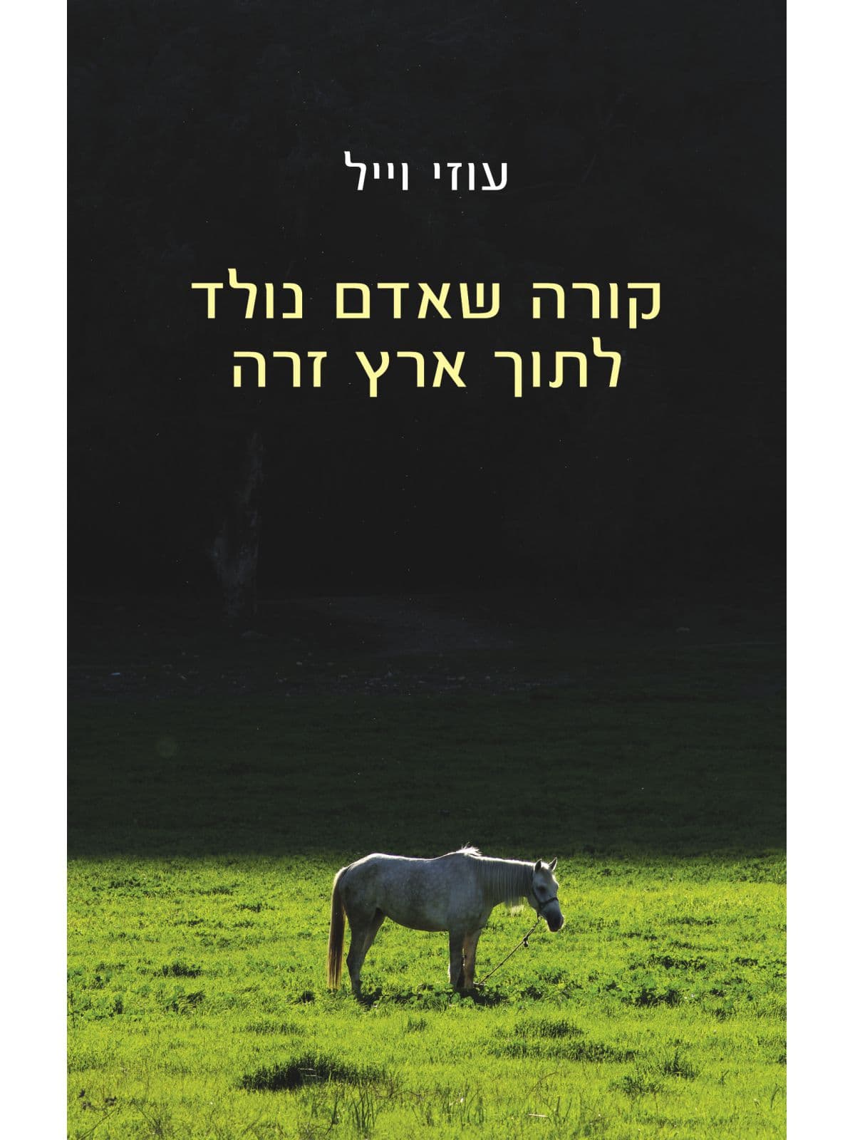 קורה שאדם נולד לתוך ארץ זרה
