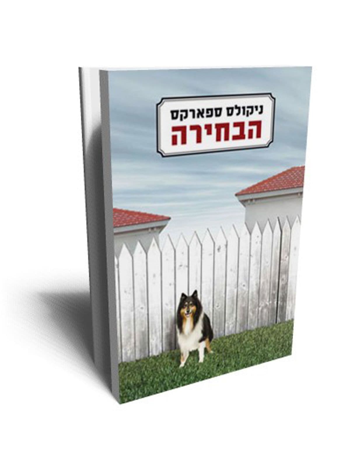 הבחירה