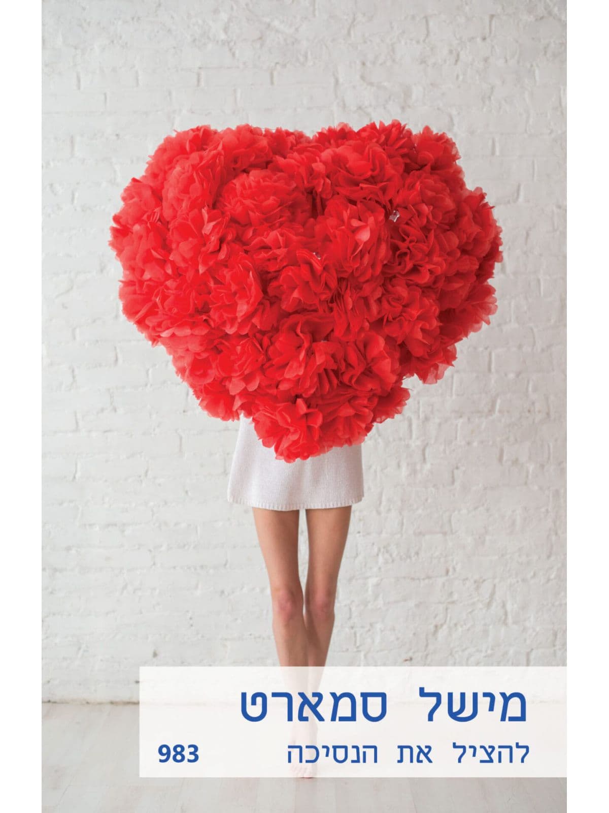 להציל את הנסיכה
