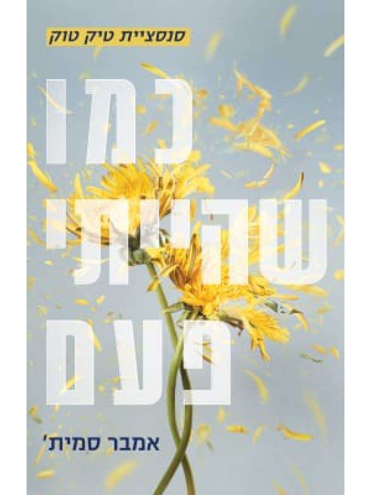כמו שהייתי פעם 1 - כמו שהייתי פעם
