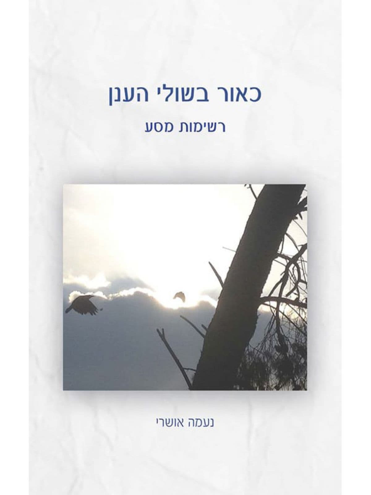 כאור בשולי הענן