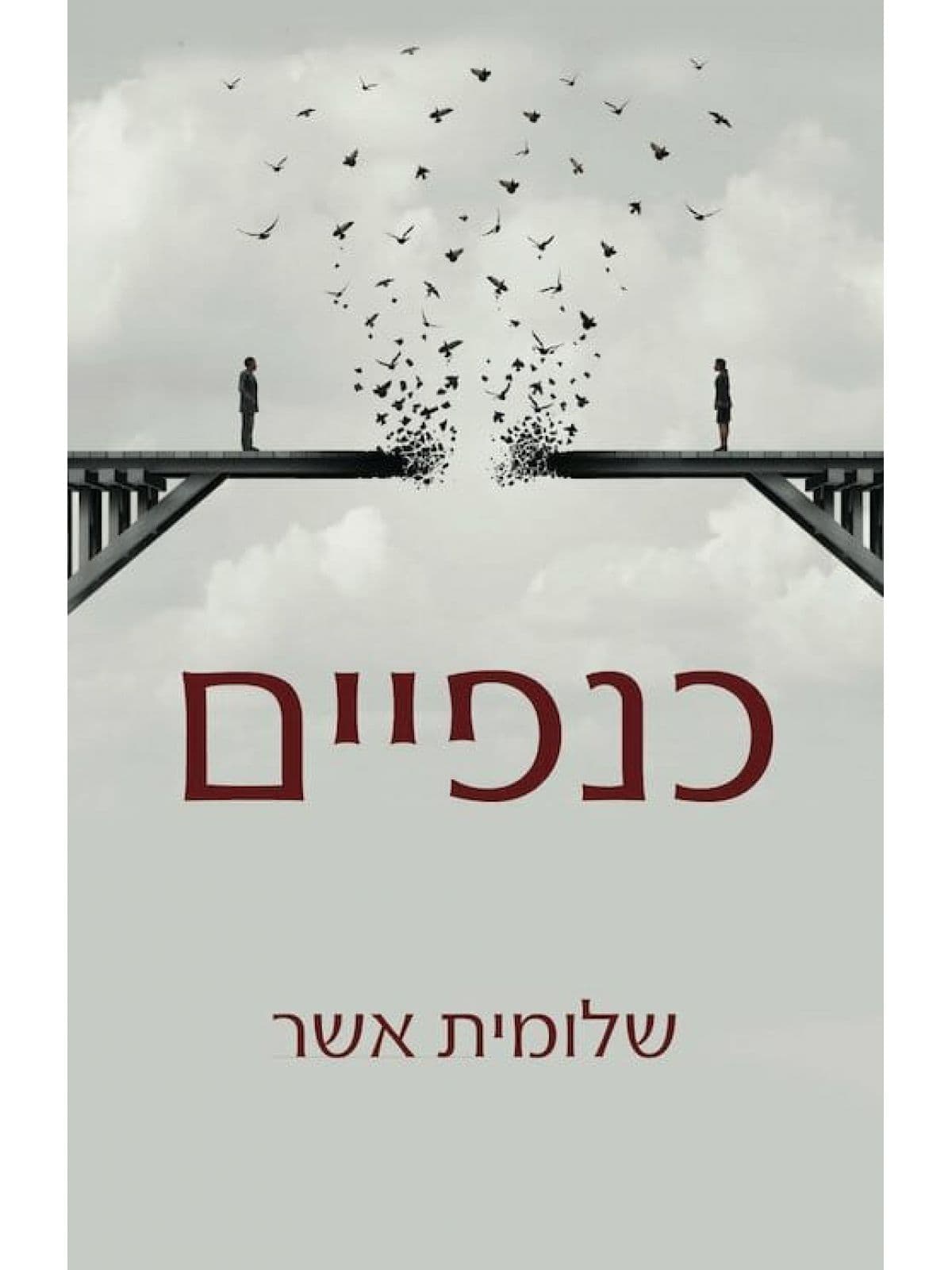 כנפייםשלומית אשר