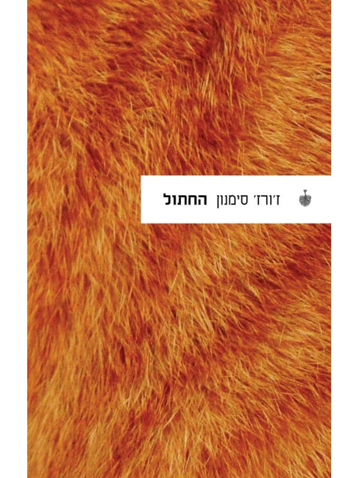 החתול