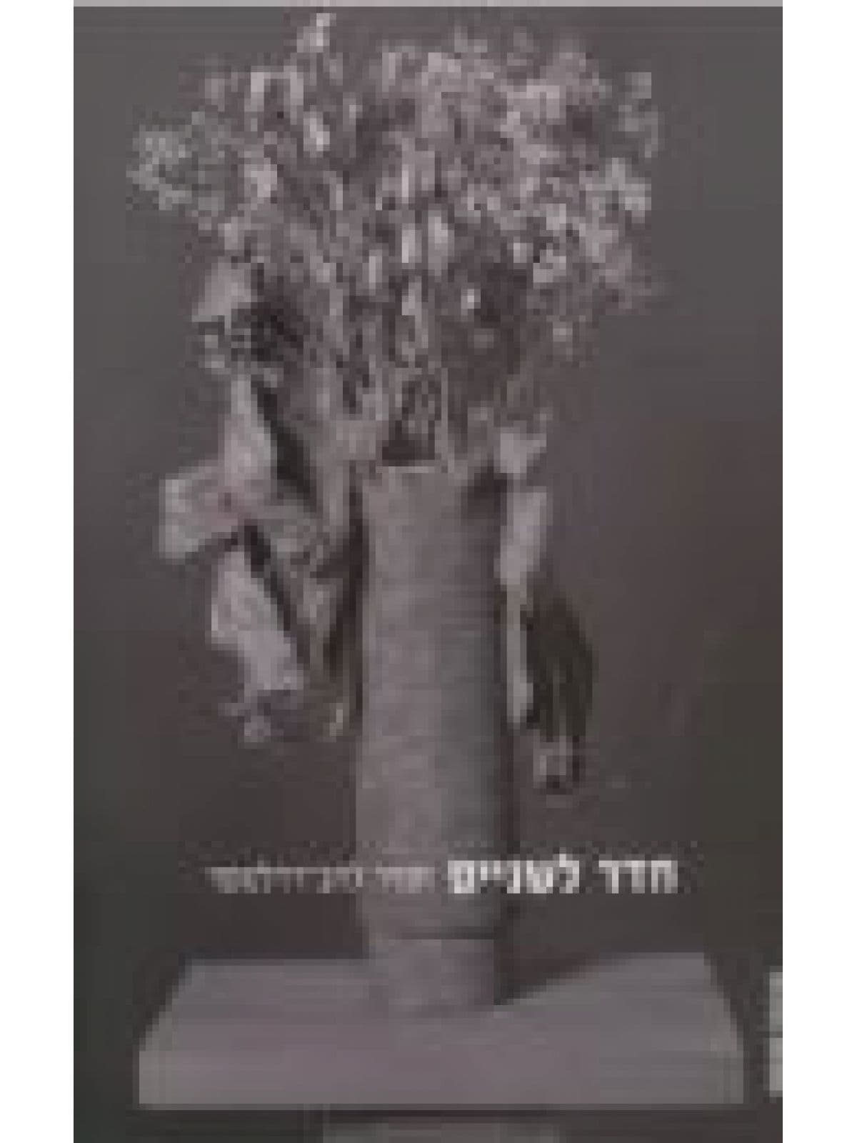 חדר לשניים