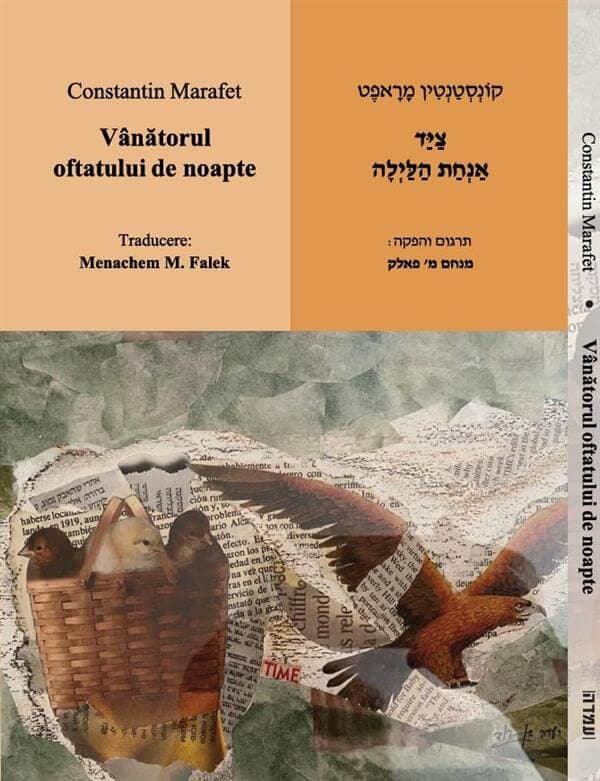 ציד אנחת הלילה