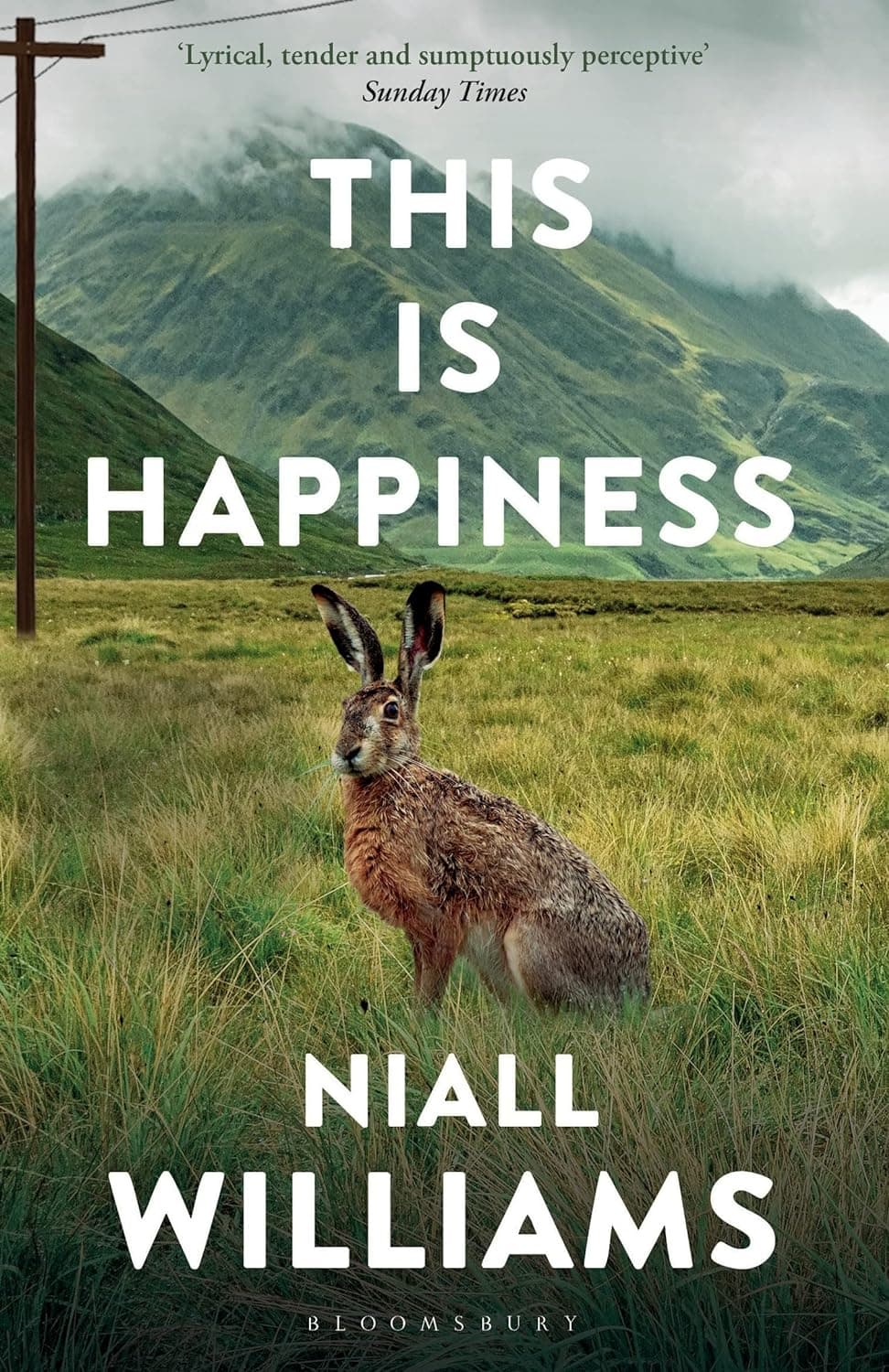 This Is Happiness HC