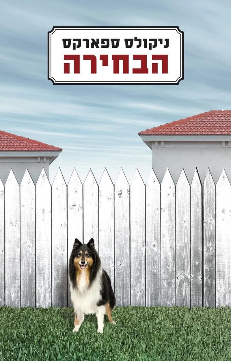 הבחירה