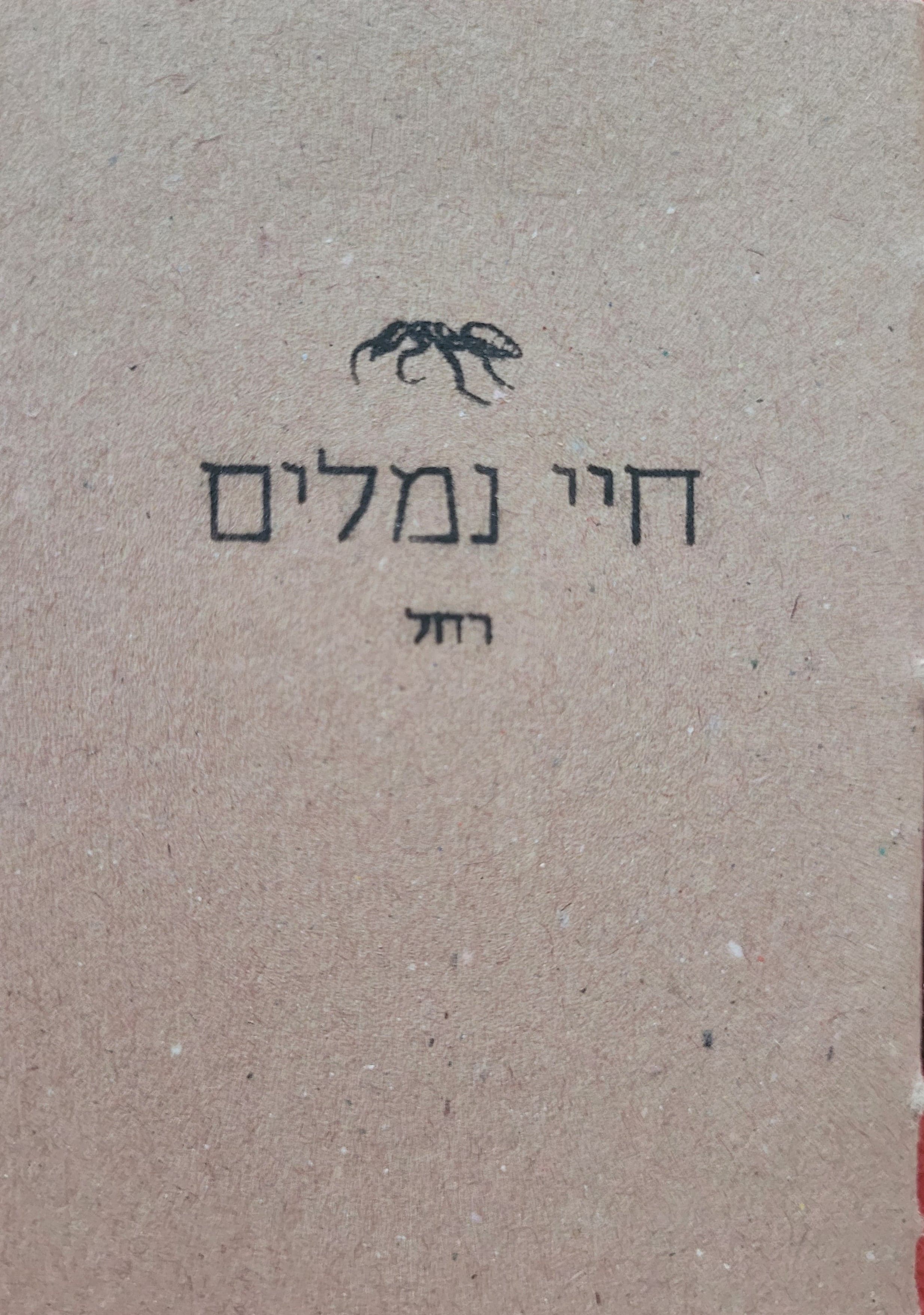 חיי נמלים