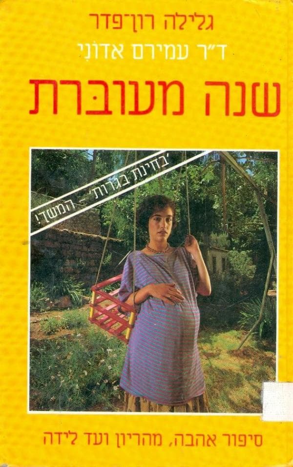 שנה מעוברת סיפור אהבה, מההריון ועד לידה