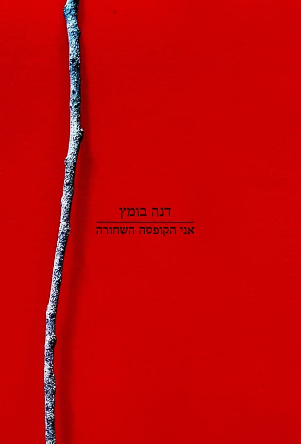 אני הקופסה השחורה