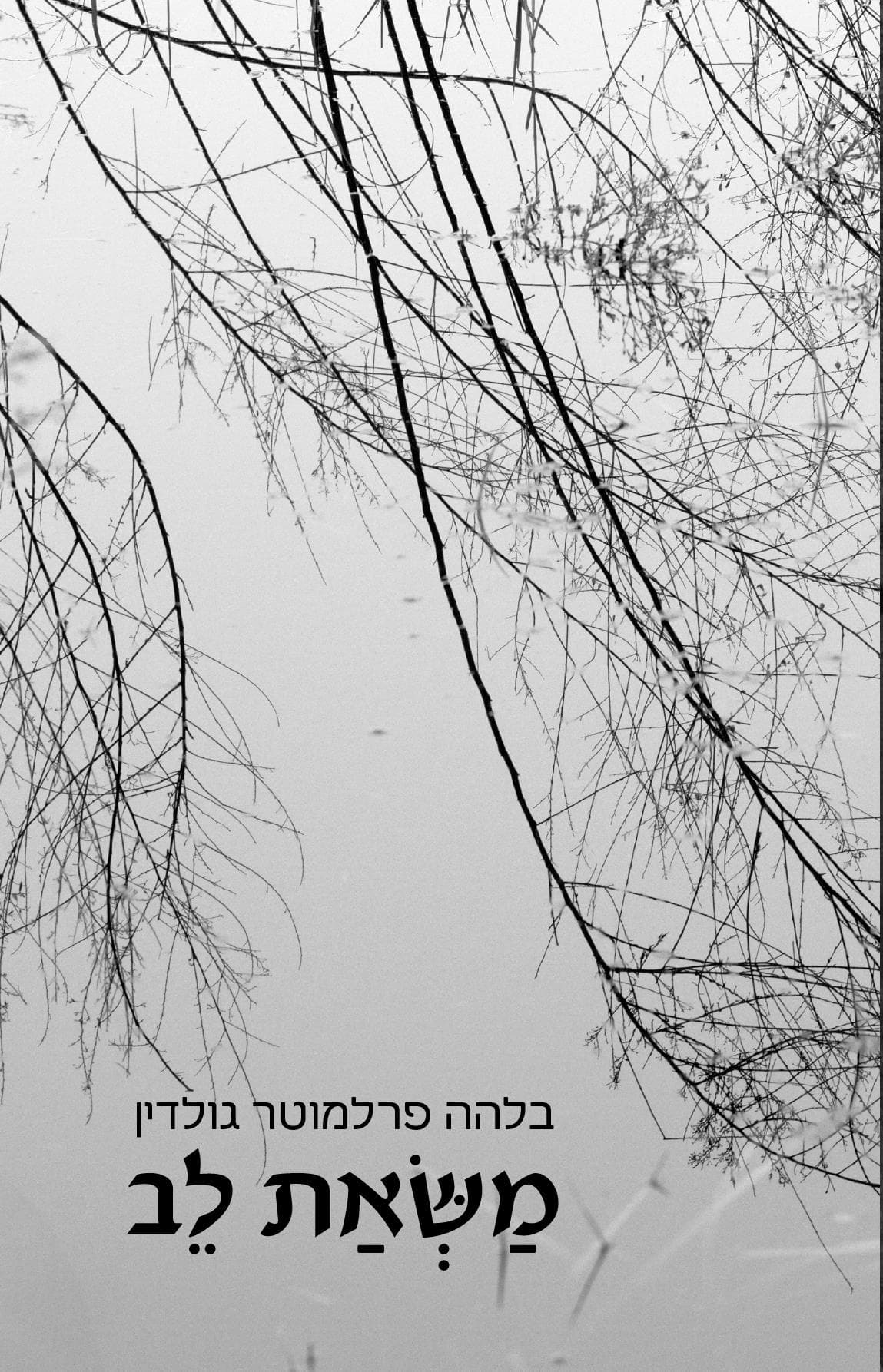 משאת לב
