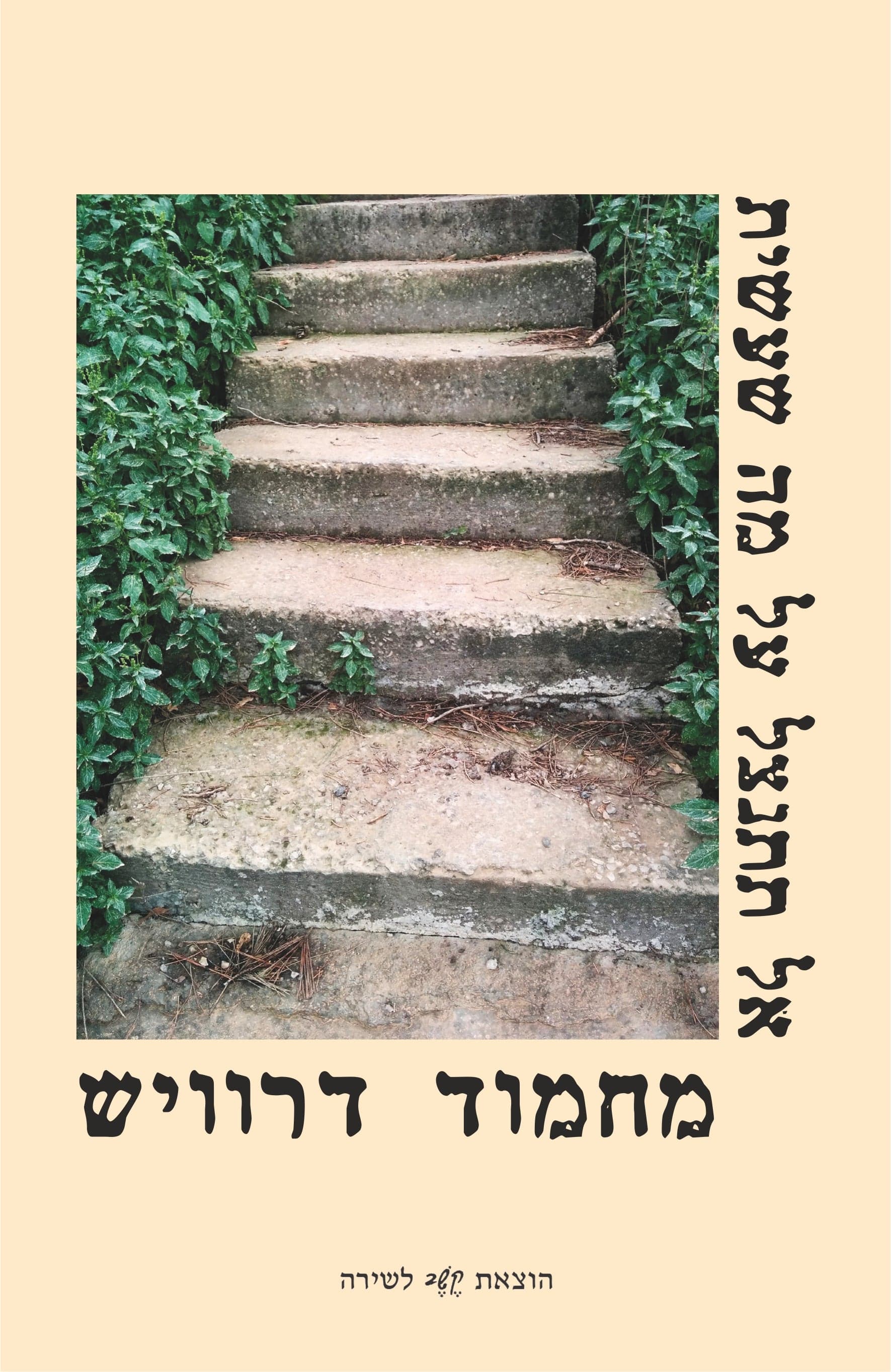 אל תתנצל על מה שעשית