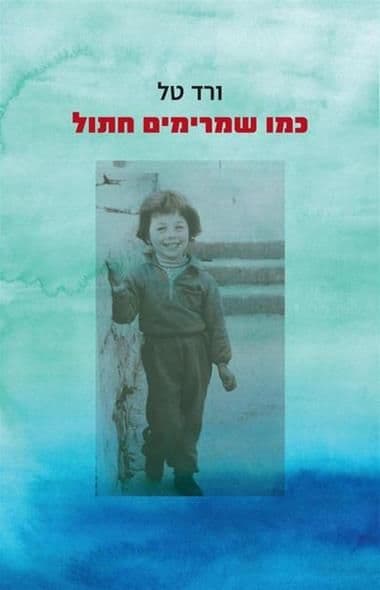 כמו שמרימים חתול