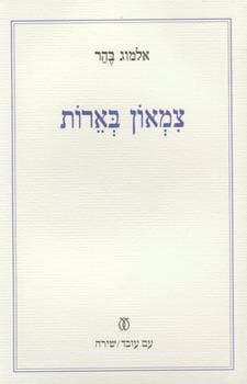צמאון בארות