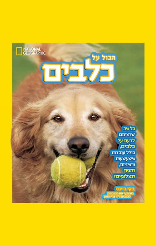 הכול על כלבים