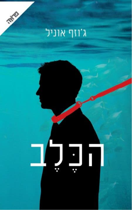הכלב
