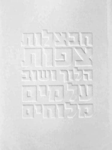 חבצלות צפות הלוך ושוב על מים מלוחים