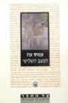 המצב השלישי / עמוס עוז