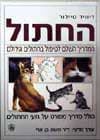 החתול / דיויד טיילור