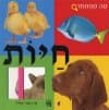 חיות-מה מסתתר