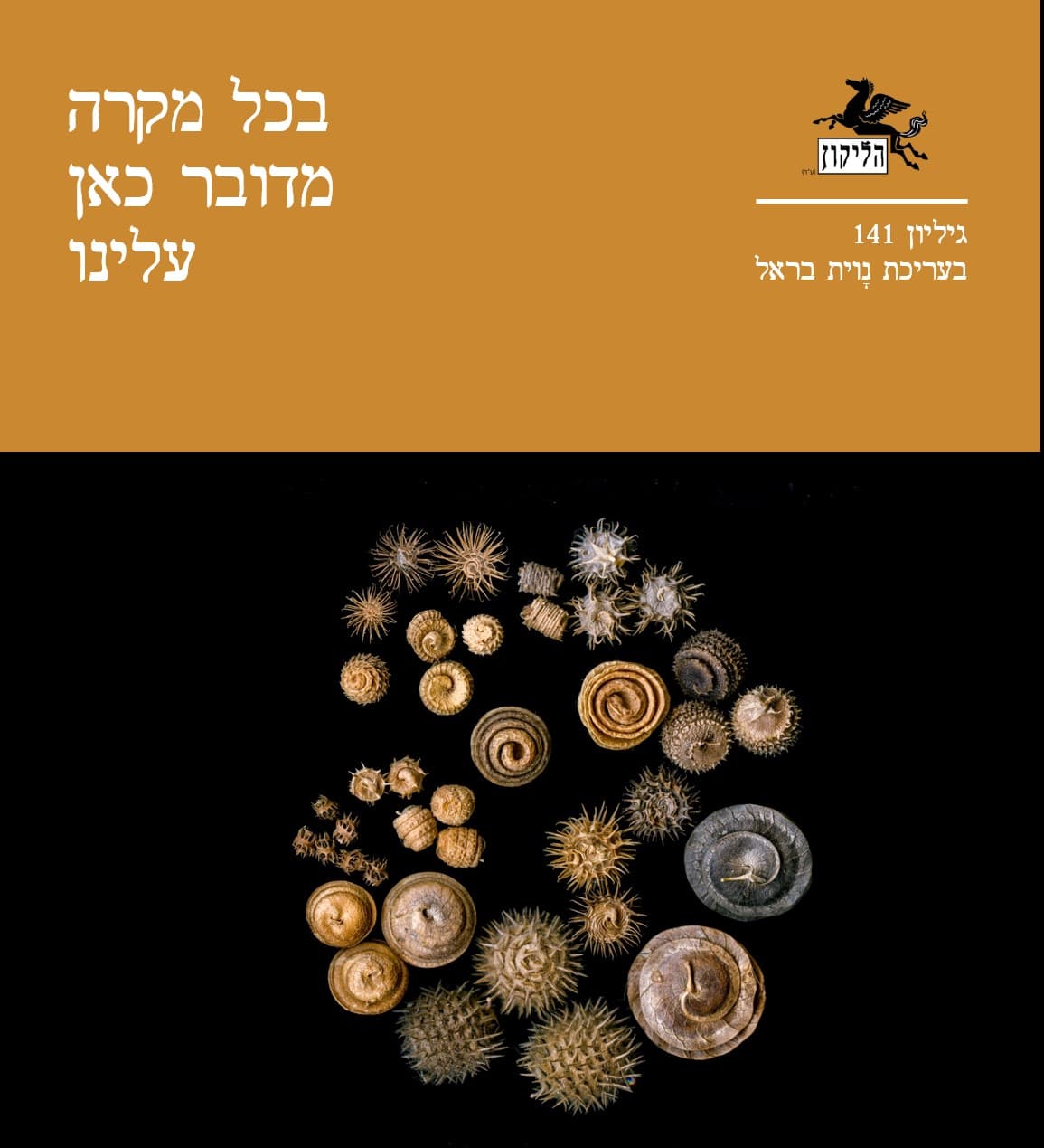 הליקון 141 בכל מקרה מדובר כאן עלינו