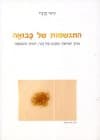 התגשמות של בבואה
