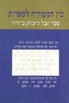 בין היסטוריה לספרות / ע’: שלמה נש