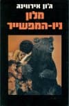 מלון ניו המפשיר (רכה)/ג''ון אירווינג