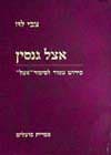 אצל גנסין / צבי לוז