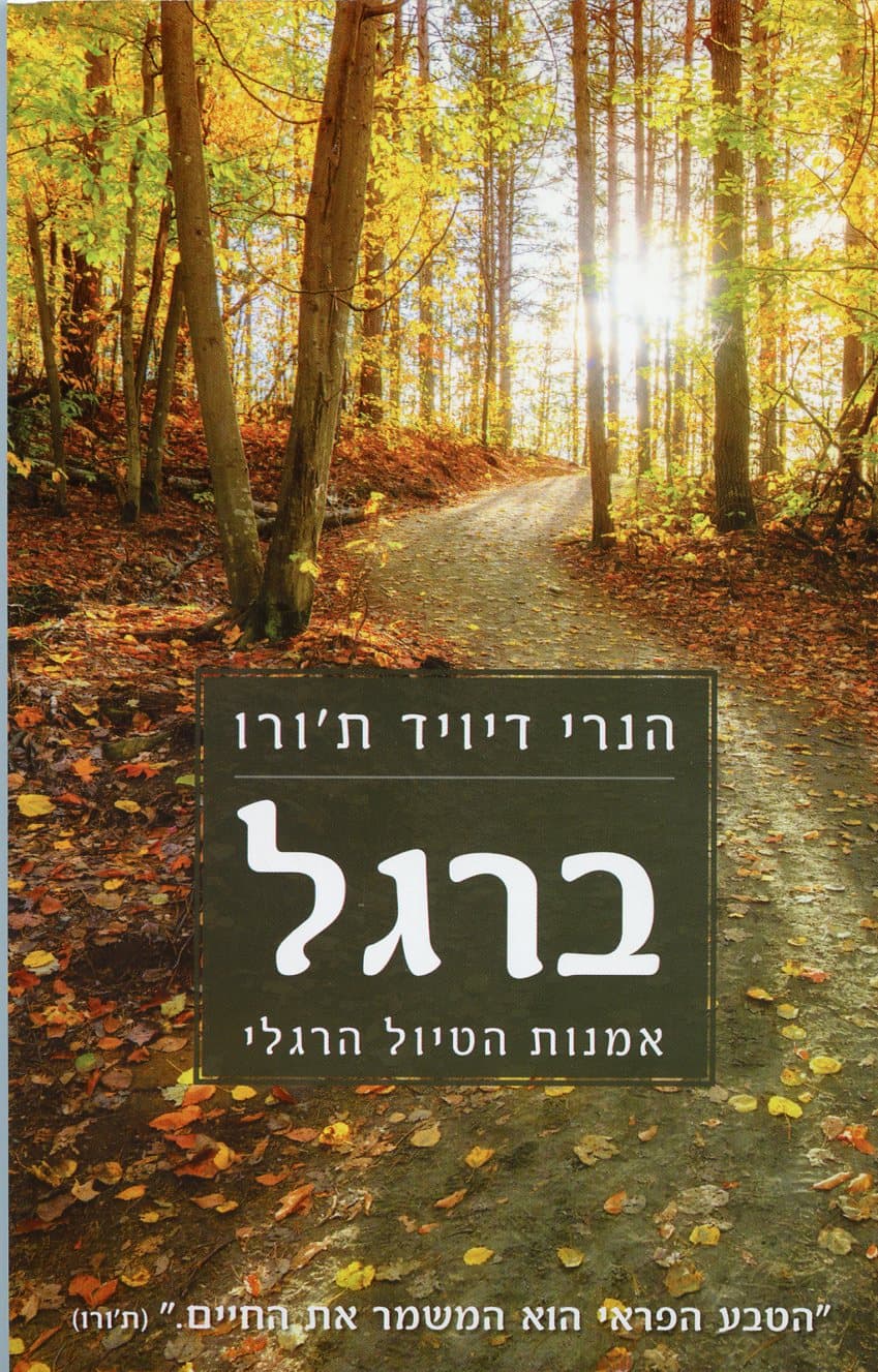 ברגל