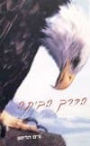 הדרך הביתה / ג'ים הריסון