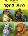 איך מצירים-חיות מחמד