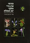 פרחי עין גדי וחוף ים המלח