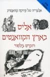 אליס בארץ הקוואנטים