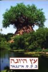 עץ היוגה