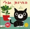 החיות שלי - מלודי