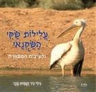 עלילות שקי השקנאי והציצית המפוארת