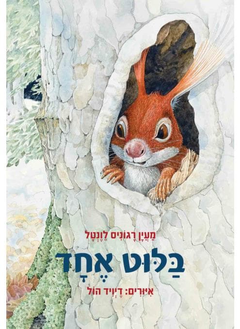 בלוט אחד