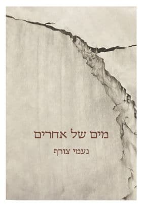 מים של אחרים